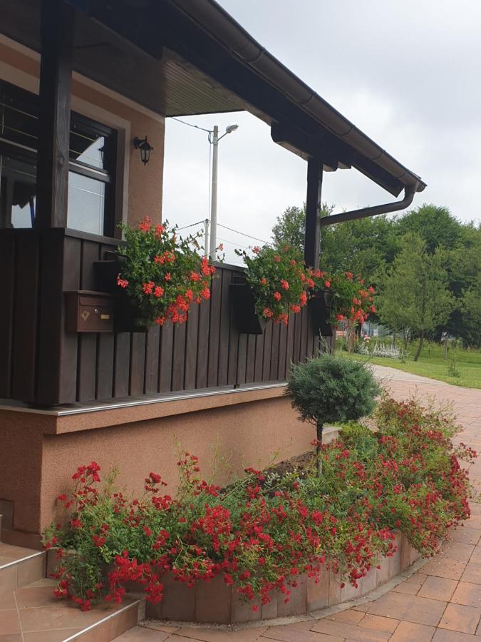 Guest Accommodation Marko Kesic غرابوفاك المظهر الخارجي الصورة