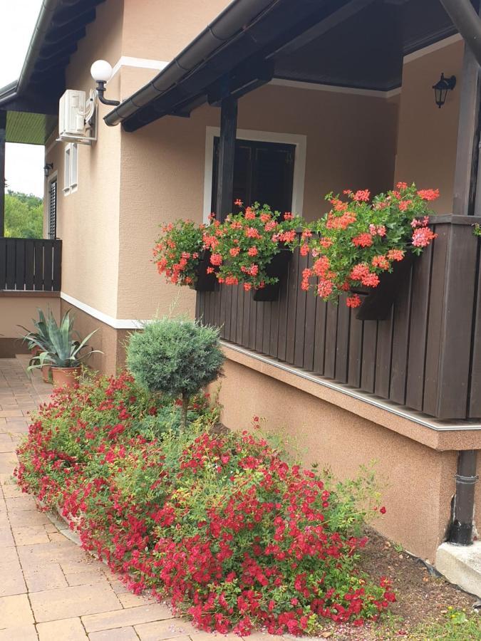 Guest Accommodation Marko Kesic غرابوفاك المظهر الخارجي الصورة