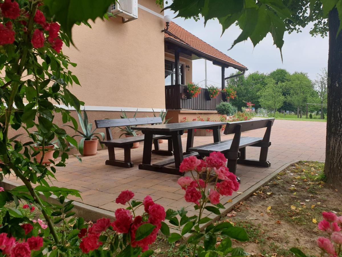 Guest Accommodation Marko Kesic غرابوفاك المظهر الخارجي الصورة